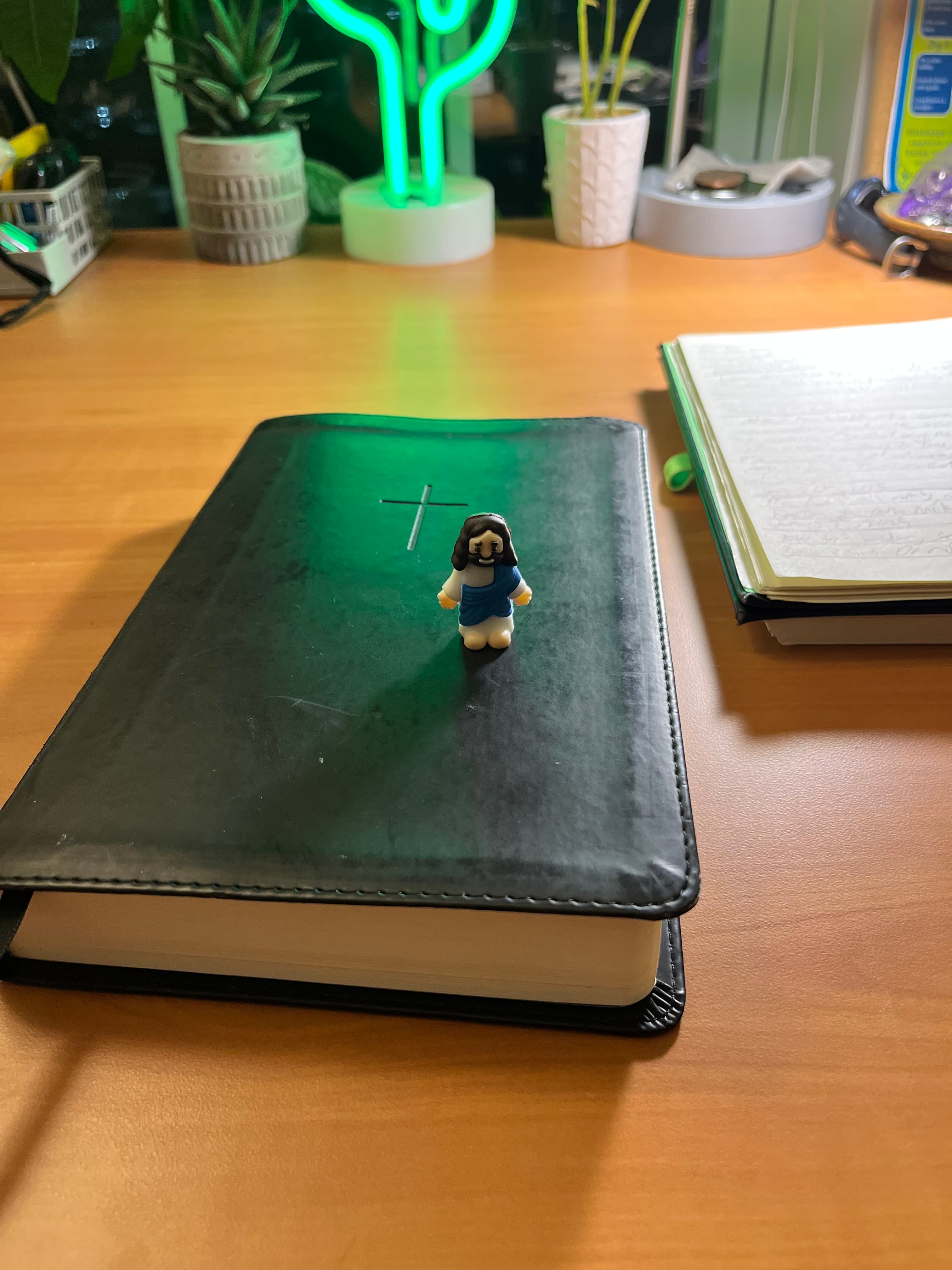 Mind journey - plants and gardening