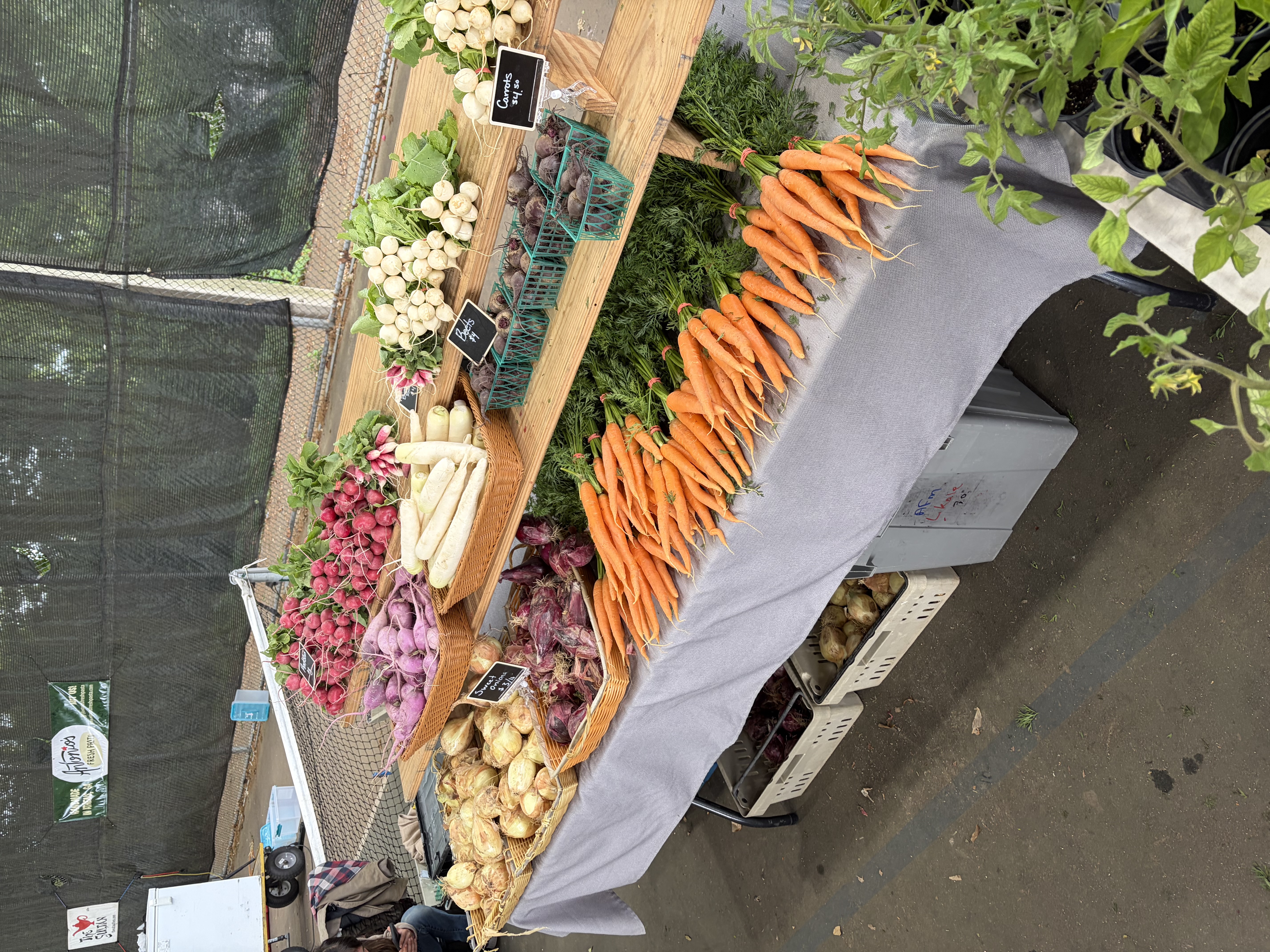 Farmers market produce